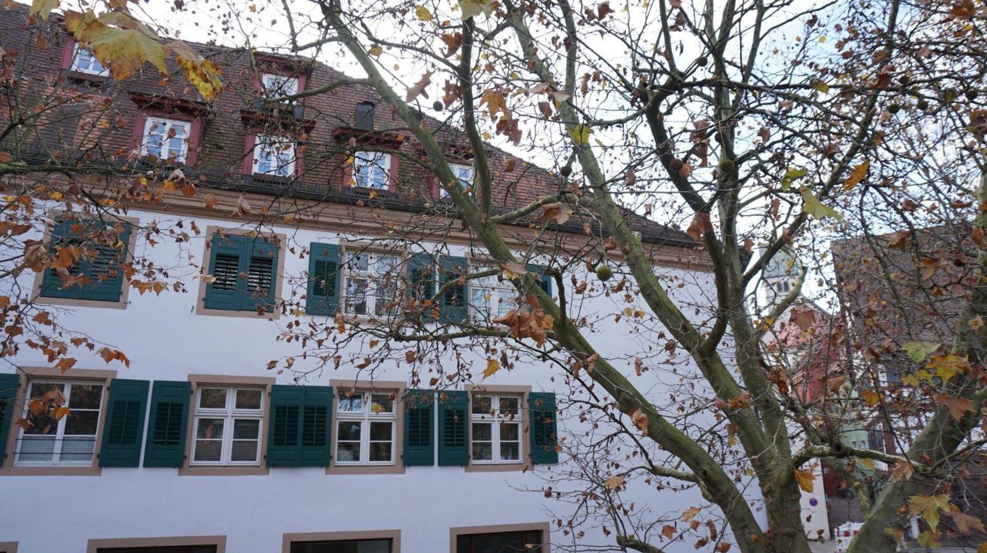 Ferienwohnung Am Klosterhof 미르스부르크 외부 사진